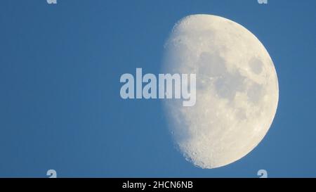 Wunderschöner, wachender, wuchtiger Mond vor einem blauen Nachthimmel Stockfoto