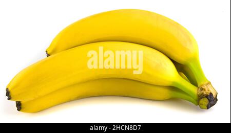 Bananen isoliert auf weißem Hintergrund. Frische Früchte aus nächster Nähe Stockfoto