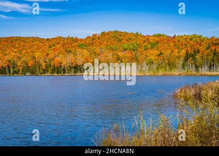 Blick auf den Crystal Lake in der herbstlichen Landschaft von Vermont Stockfoto