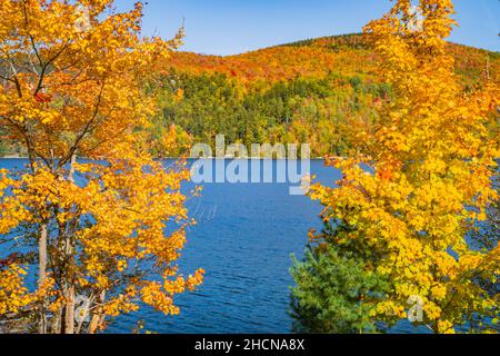 Blick auf den Crystal Lake in der herbstlichen Landschaft von Vermont Stockfoto