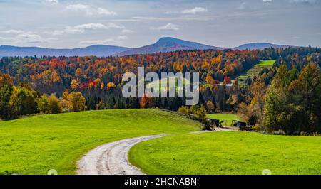 Eine Straße schlängelt sich durch die herbstliche Laublandschaft in der Landschaft von Vermont Stockfoto