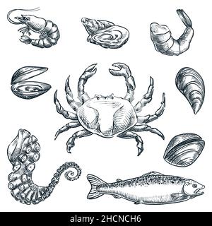 Meeresfrüchte und frischer roher Fisch. Handgezeichnete Vektorskizze. Krabben, Kraken Tentakel, Muscheln, Garnelen-Symbole isoliert auf weißem Backgro Stock Vektor