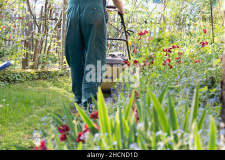 Aus der Perspektive eines Mannes, der im Frühjahr den Rasenmäher durch einen kleinen Hinterhof schiebt. Rückansicht des Gärtners in grün insgesamt. Stockfoto