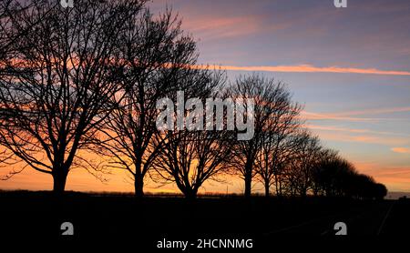 Sonnenuntergang direkt an der A15 nördlich von Hibaldstow, Lincolnshire, Großbritannien Stockfoto