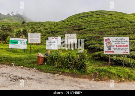 CAMERON HIGHLANDS, MALAYSIA - 28. MÄRZ 2018: Verschiedene Schilder auf einer Teeplantage in den Cameron Highlands, Malaysia Stockfoto