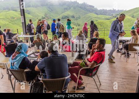 CAMERON HIGHLANDS, MALAYSIA - 28. MÄRZ 2018: Terrasse des BOH Tea Center in den Cameron Highlands, Malaysia Stockfoto