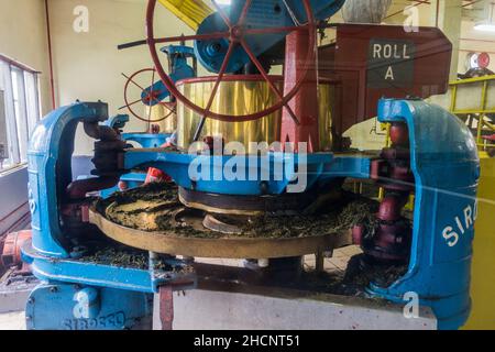 CAMERON HIGHLANDS, MALAYSIA - 28. MÄRZ 2018: Walzmaschine des BOH Tea Center in den Cameron Highlands, Malaysia Stockfoto