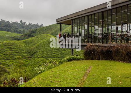 CAMERON HIGHLANDS, MALAYSIA - 28. MÄRZ 2018: Terrasse des BOH Tea Center in den Cameron Highlands, Malaysia Stockfoto