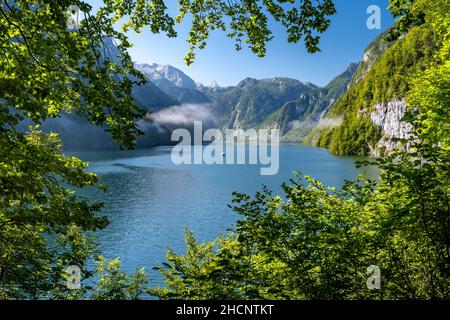 Idyllischer Königsee im Sommer, Schönau am Königsee, Bayern, Deutschland Stockfoto