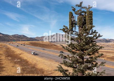 Morrison, Colorado - Ein Kommunikationsturm, getarnt wie ein Baum, in einem Vorort von Denver. Stockfoto