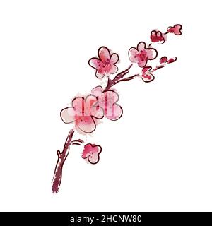 Ein Zweig aus Kirschblüten. Vektorgrafik Stock Vektor