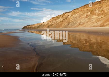 Strand in Nørre Lyngby, Dänemark; Nørre Lyngby Klint, Dänemark Stockfoto