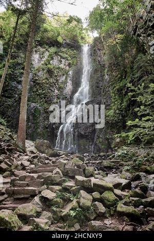 Burgbach Wasserfall im Schwarzwald fällt über Granitfelsen ins Tal bei Bad Rippoldsau-Schapbach, Deutschland. Stockfoto
