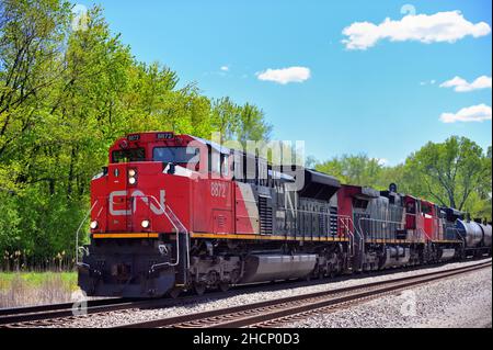 Hoffman Estates, Illinois, USA. Ein Trio von Lokomotiven der Canadian National Railway führt einen Güterzug durch einen ländlichen Abschnitt im Nordosten von Illinois. Stockfoto