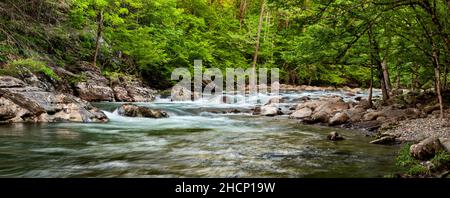 USA, Tennessee, Great Smoky Mountains National Park, Panoramablick auf den Little Pigeon River bei Greenbrier Stockfoto