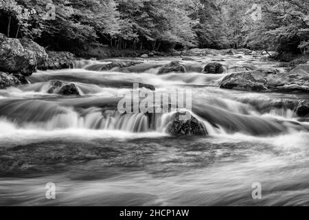 USA, Tennessee, Great Smoky Mountains National Park, Little Pigeon River in Greenbrier (bw) Stockfoto