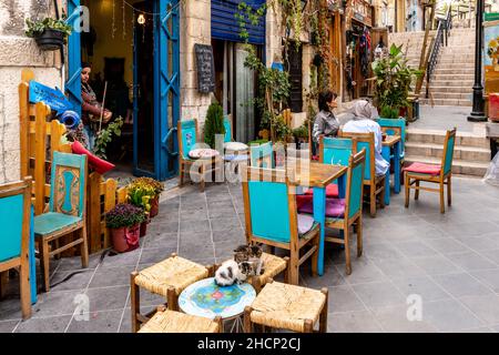 Drei Kätzchen, die vor Einem Café in der Innenstadt von Amman, Amman, Jordanien, sitzen. Stockfoto