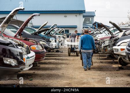 Zwei Männer schieben Karren durch einen Gang im Abschnitt General Motors auf dem LKQ Pick Your Part Auto Bergungshof in Fort Wayne, Indiana, USA. Stockfoto