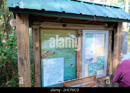 Pinckney Island National Wildlife Refuge in Hilton Head, South Carolina; ein Natur- und Waldschutzgebiet, das vom Savannah Coastal Refuges Complex verwaltet wird. Stockfoto