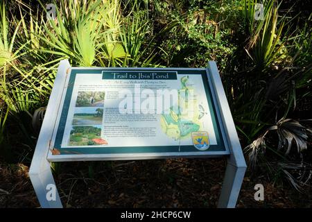 Pinckney Island National Wildlife Refuge in Hilton Head, South Carolina; ein Natur- und Waldschutzgebiet, das vom Savannah Coastal Refuges Complex verwaltet wird. Stockfoto