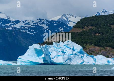 Der unglaubliche 'Perito Moreno' Gletscher in Patagonien und der Eisbergkanal im Lago Argentino Stockfoto