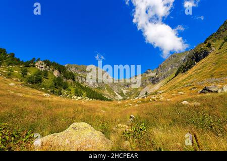 Berggipfel und Weiden im Nationalpark Adamello Brenta. Trentino-Südtirol, Italien, Alpen, Europa. Stockfoto