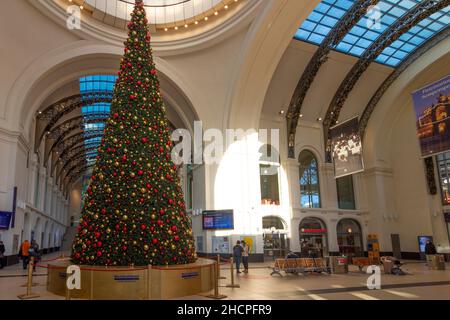 Dresden: Hauptbahnhof, Weihnachtsdekoration, in , Sachsen, Sachsen, Deutschland Stockfoto