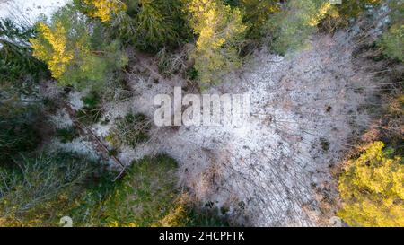 Luftaufnahme eines kleinen schwedischen Dorfes mit Inseln und Wäldern an der Ostseeküste im Winter. Drohnenfotografie - Winter in Schweden Stockfoto