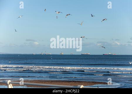 Blick auf das Meer von der Strandpromenade in Kirkcaldy, Fife, Schottland Stockfoto