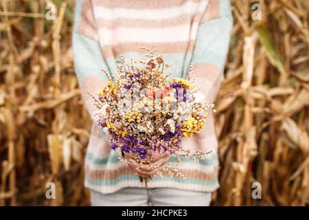 Frau mit gestricktem Pullover, der einen Strauß getrockneter Blumen im Freien hält. Kräuter und blütengetrocknete Pflanze in weiblichen Händen Stockfoto