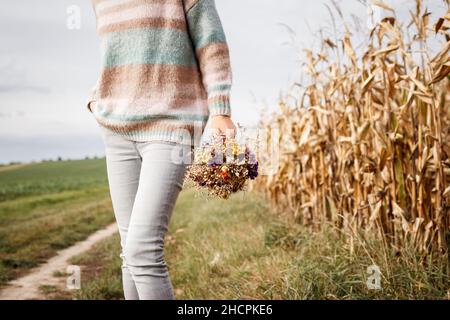 Frau mit gestricktem Pullover, der einen Strauß getrockneter Blumen im Freien hält. Kräuter und blütengetrocknete Pflanze in weiblichen Händen. Ländliche Landschaft Stockfoto