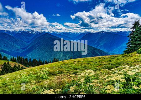 Wunderschöne Aussicht von der Stadt im Olympic National Park an der Küste von Washington Stockfoto