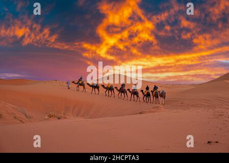 Beduinen führen Kamelkarawane mit Touristen durch den Sand in der Wüste Stockfoto