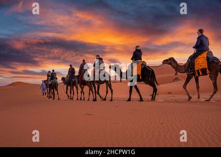 Beduinen führen Kamelkarawane mit Touristen durch den Sand in der Wüste Stockfoto