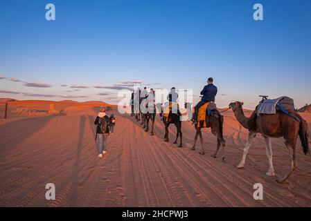 Kamelkarawane mit Touristen, die durch den Sand in der Wüste gehen Stockfoto