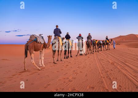 Beduinen führen Kamelkarawane mit Touristen durch den Sand in der Wüste Stockfoto