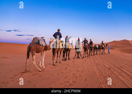 Beduinen führen Kamelkarawane mit Touristen durch den Sand in der Wüste Stockfoto