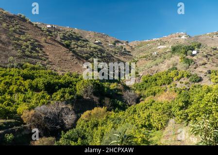 Archez in Spanien: Wandern auf der Ruta de los Molinos Stockfoto