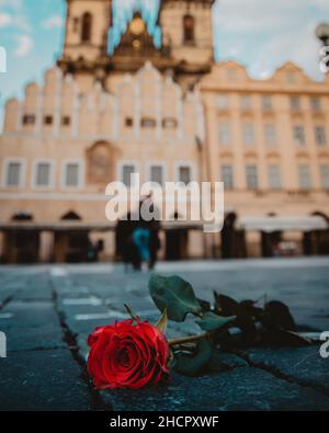 Vertikale Aufnahme einer roten Rose auf dem Hintergrund der Marienkirche vor Tyn in Prag, Tschechien Stockfoto