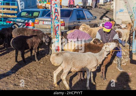 KARAKOL, KIRGISISTAN - 15. JULI 2018: Schafe auf dem Sonntag Tiermarkt in Karakol. Stockfoto