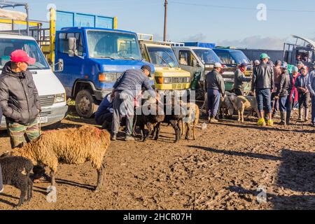 KARAKOL, KIRGISISTAN - 15. JULI 2018: Menschen vor Ort auf dem Tiermarkt in Karakol. Stockfoto