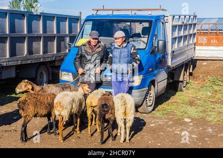 KARAKOL, KIRGISISTAN - 15. JULI 2018: Einheimische mit ihren Schafen auf dem Tiermarkt in Karakol. Stockfoto