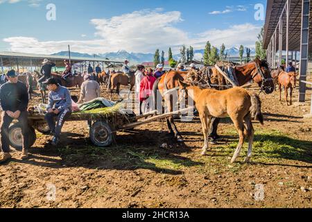 KARAKOL, KIRGISISTAN - 15. JULI 2018: Einheimische mit Pferden auf dem sonntäglichen Tiermarkt in Karakol. Stockfoto