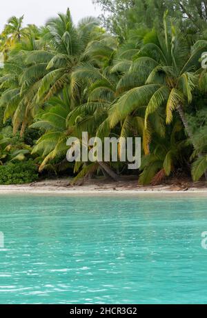 Der wunderschöne Strand und das türkisfarbene Meer auf einem Fuß Insel nicht weit von Aitutaki, einer der Cook Inseln, Südpazifik Stockfoto