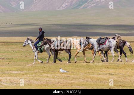 SONG KUL, KIRGISISTAN - 24. JULI 2018: Der einheimische kirgisische Reiter führt mehrere Pferde in der Nähe des Song Kul Sees, Kirgisistan Stockfoto