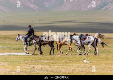 SONG KUL, KIRGISISTAN - 24. JULI 2018: Der einheimische kirgisische Reiter führt mehrere Pferde in der Nähe des Song Kul Sees, Kirgisistan Stockfoto