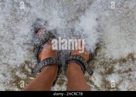 Sandalen im Pappelbaum Flaum Stockfoto