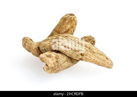 Chinesische Kräutermedizin - Tianma, Gastrodiae Rhizoma oder große Gastrodiae isoliert auf weißem Hintergrund. Stockfoto