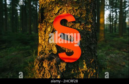 Absatz Symbol für Recht und Gerechtigkeit in die tiefe Waldsonne auf einem Baumstamm, Textzeile für Ihren individuellen Text. Stockfoto