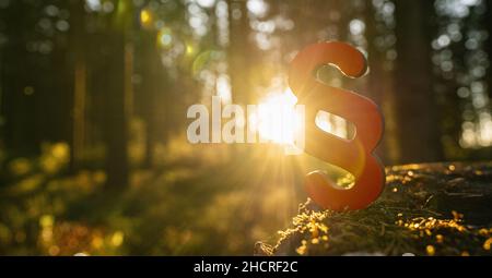 Absatz Symbol für Recht und Gerechtigkeit in die tiefe Waldsonne auf einem Baumstamm, Textzeile für Ihren individuellen Text. Stockfoto